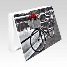 Cubrecontador bicicleta con...